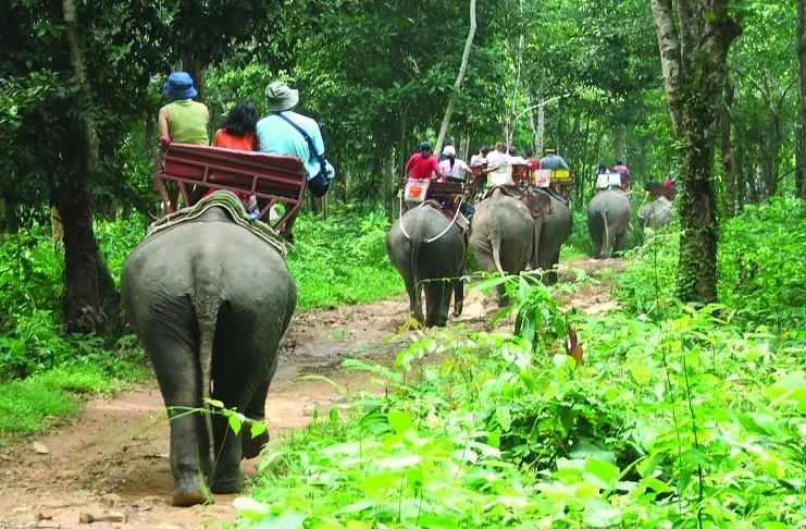 Eco-Friendly Travel Practices