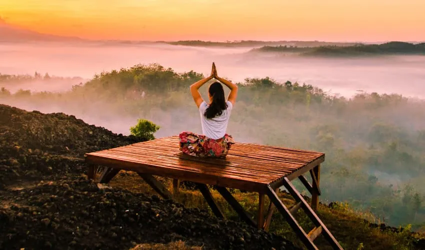 Wellness & Retreats