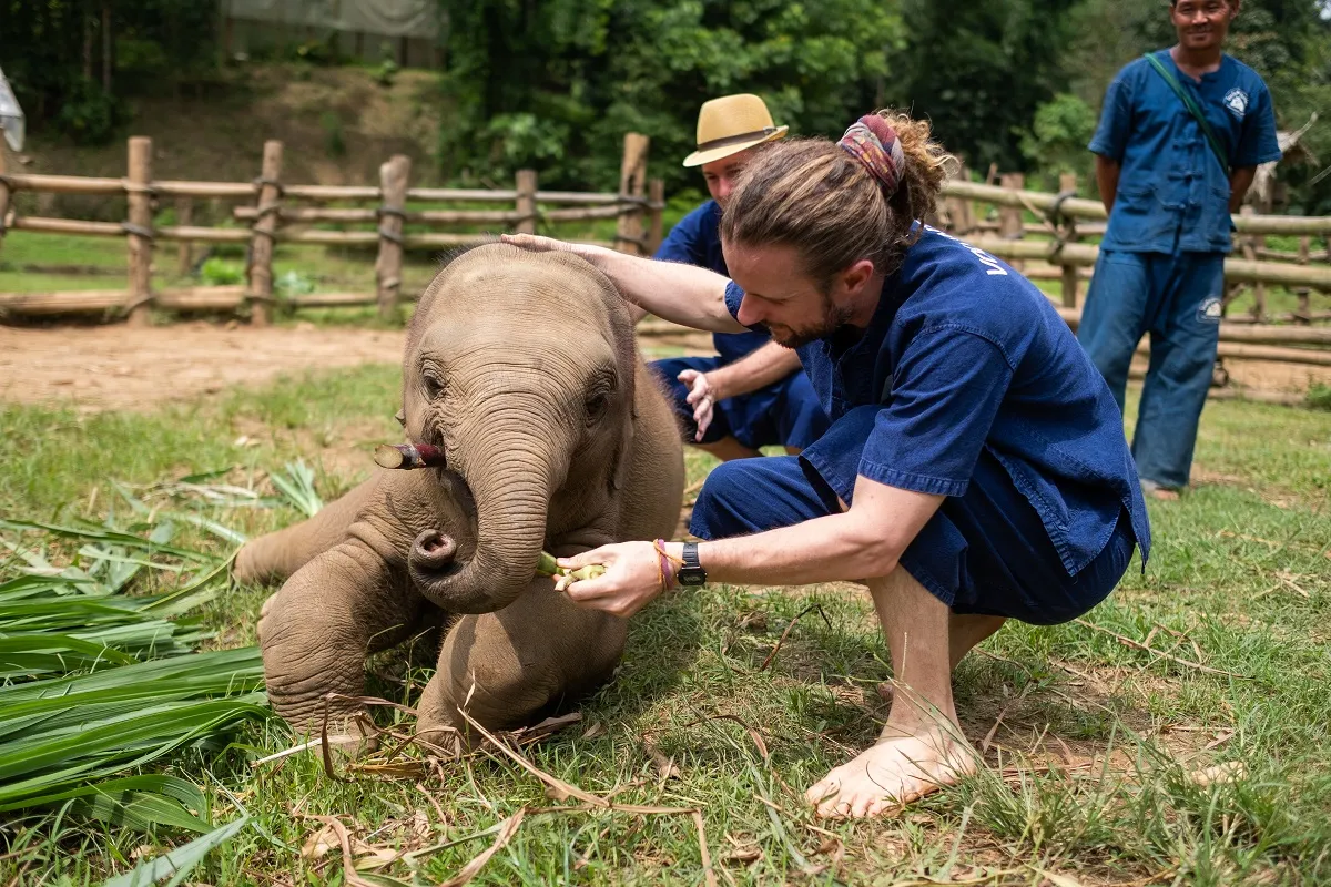 Conservation & Volunteering