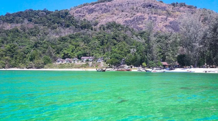 https://dynamic-media-cdn.tripadvisor.com/media/photo-o/16/62/4a/56/foto-di-koh-adang.jpg?h=500&s=1&w=900